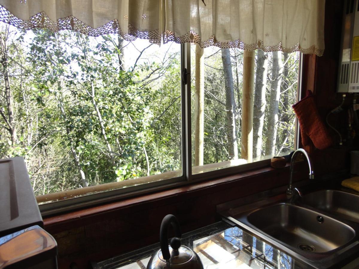 Cabanas Spa Bungalows Huarranchi Pucón Dış mekan fotoğraf