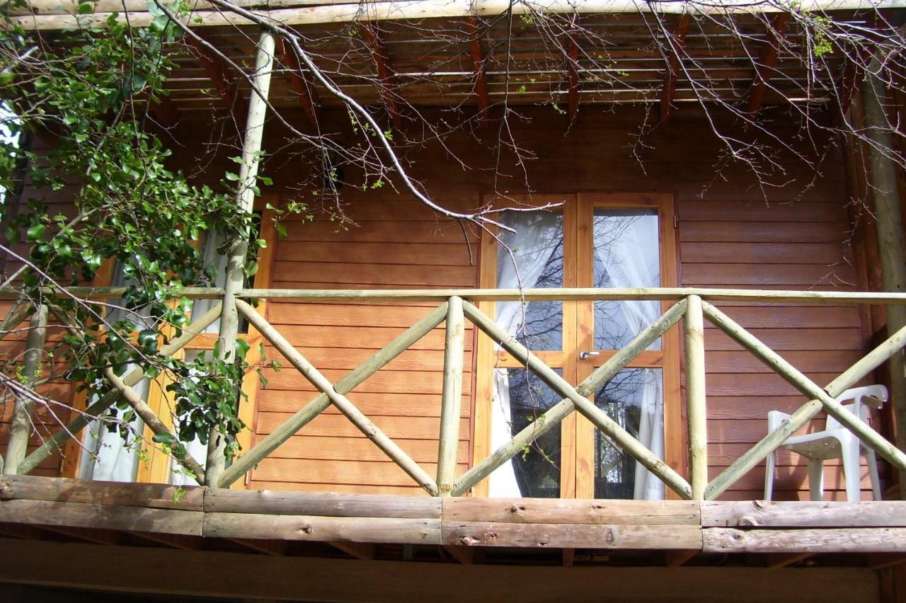Cabanas Spa Bungalows Huarranchi Pucón Oda fotoğraf